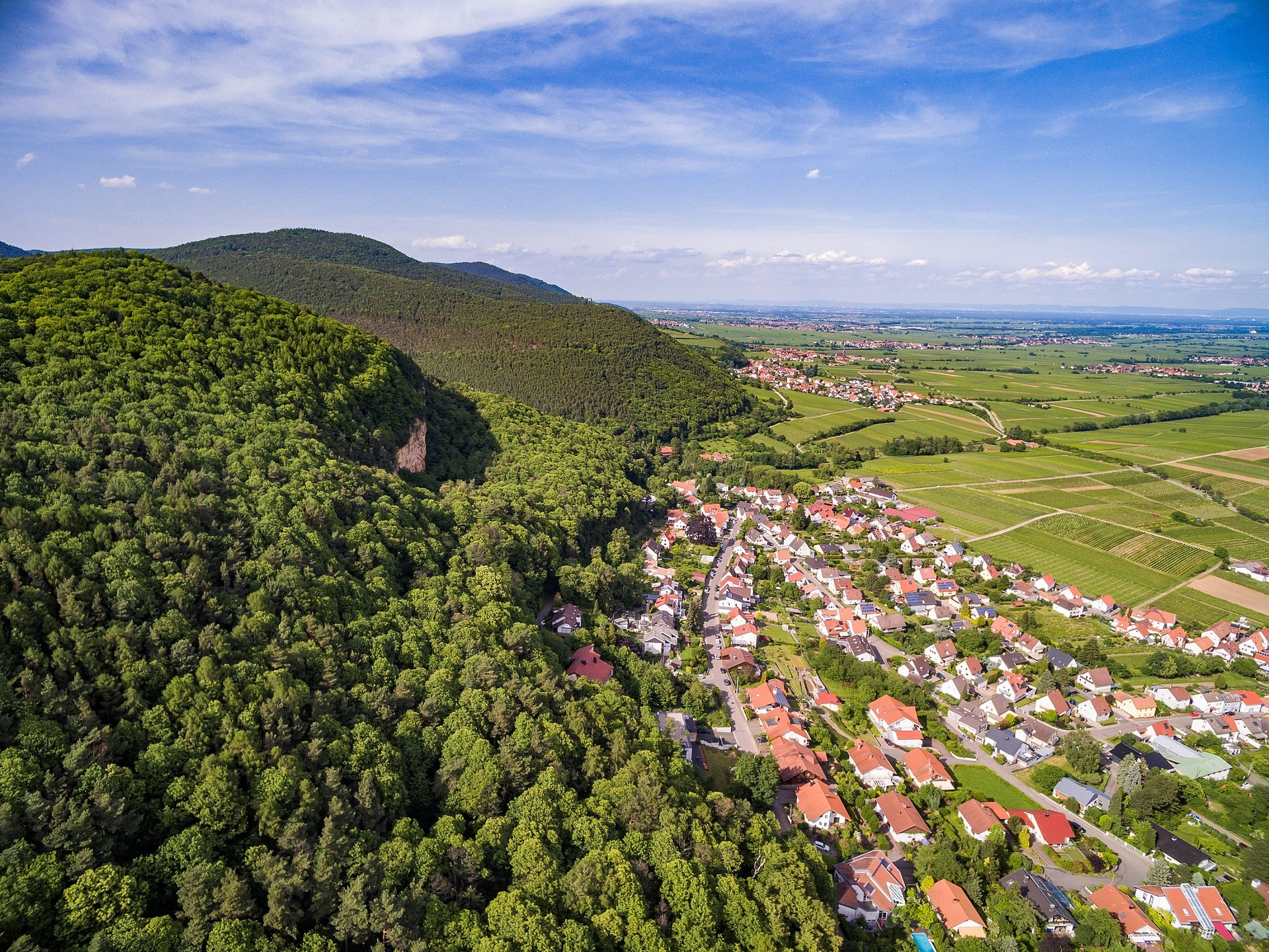 Frankweiler – direkt am Haardtrand in der Pfalz