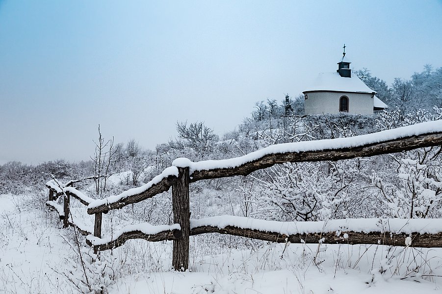 Kleine Kalmit bei Ilbesheim in der Pfalz im Schnee