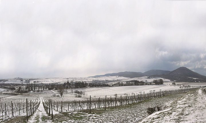 Winterlandschaft am Geilweilerhof bei Siebeldingen in der Pfalz