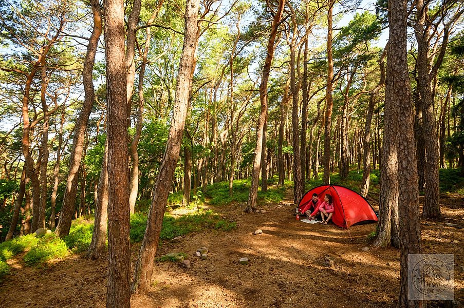 Zelten mitten im Wald - auf den Trekking Plätzen Pfalz